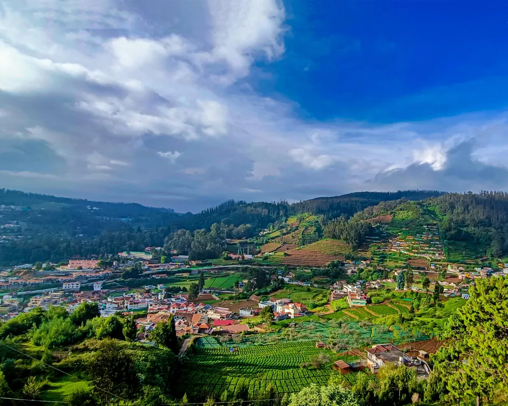 Tea terraces and homes across a green Ooty valley